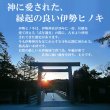 画像2: 会社印 伊勢ヒノキ【みちてらす】 代表印 丸寸胴18ミリ (2)